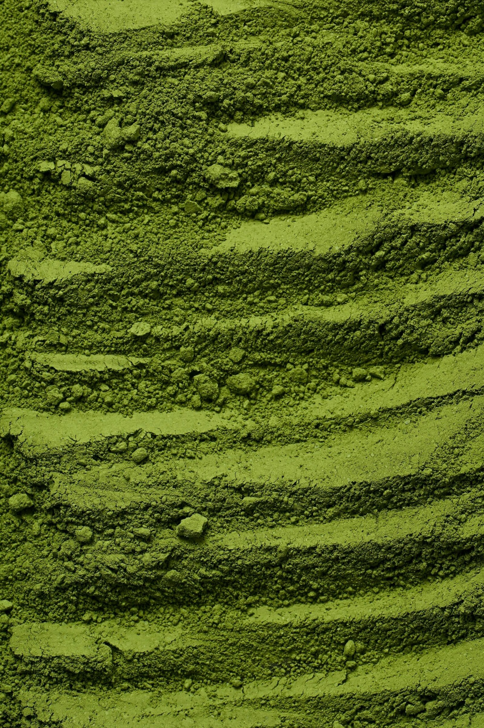 The Longevity Teatime: 5 Drinks That Boost Cellular Autophagy