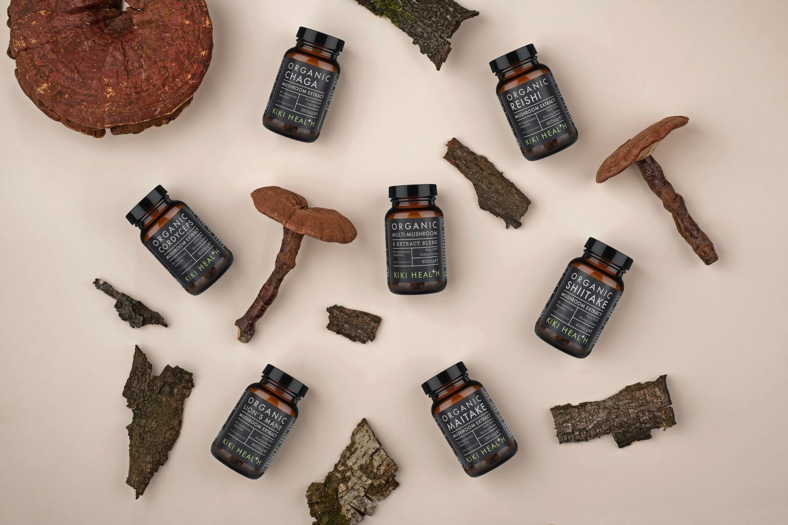 The Butter Knife, the Chaga, and What Actually Happens When Cells Clean House