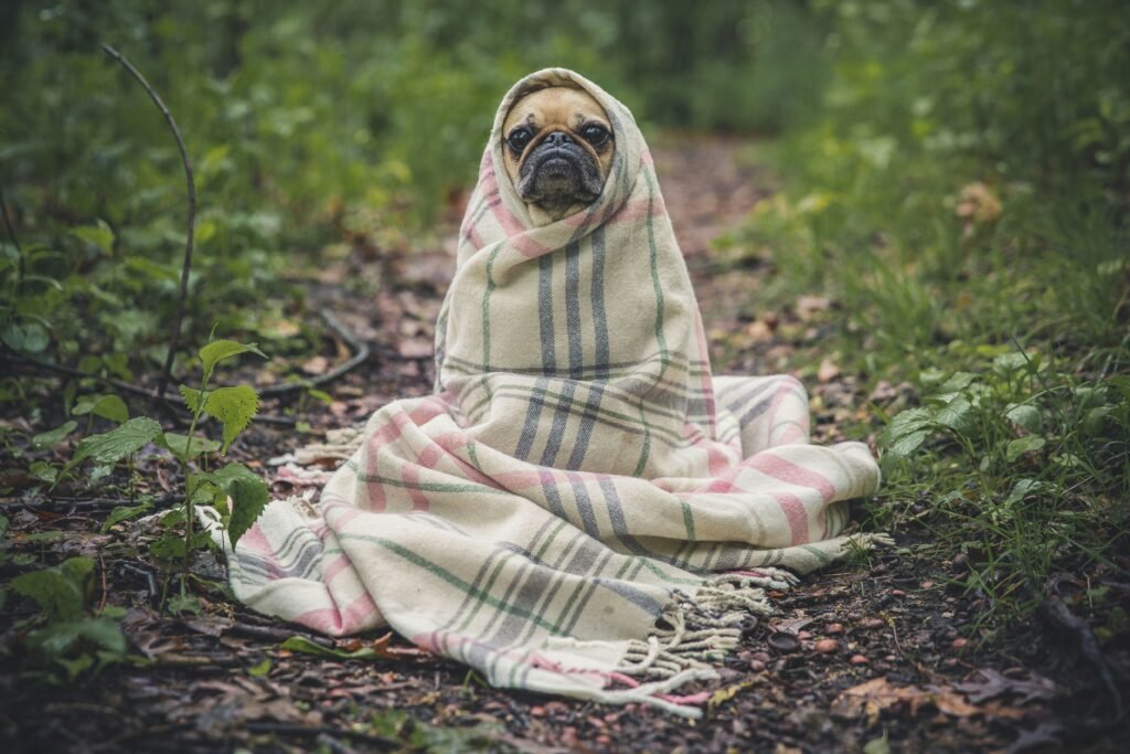 A warm thermal foot soaking ritual set up in a peaceful bedroom to soothe summer air conditioning chills