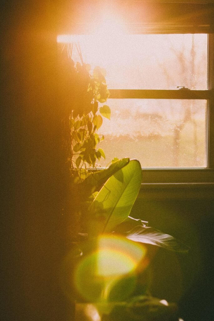 Soft sunlight streaming over a tranquil listening room with a sound system