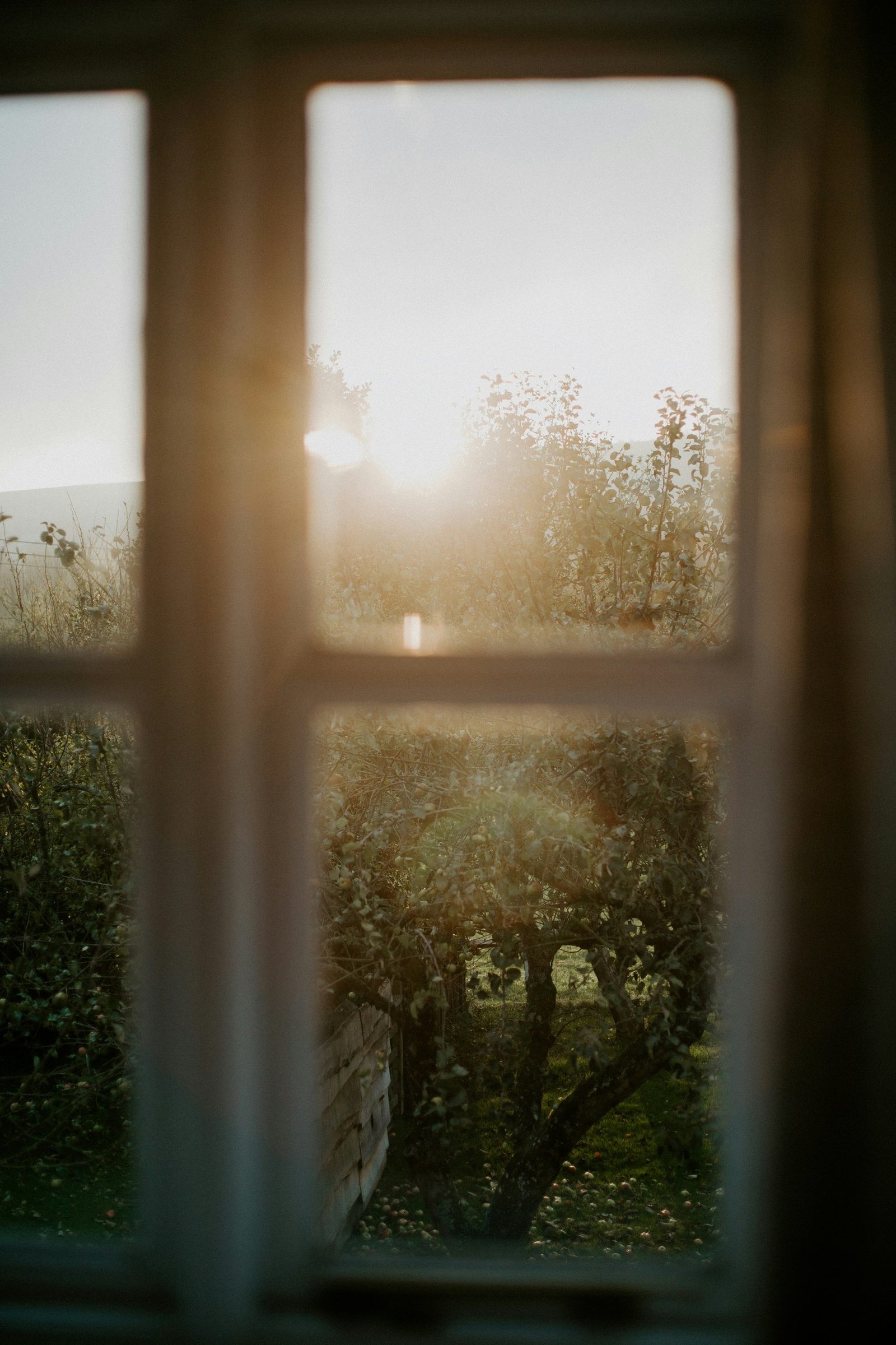 Morning Light That You Actually Need in Autumn