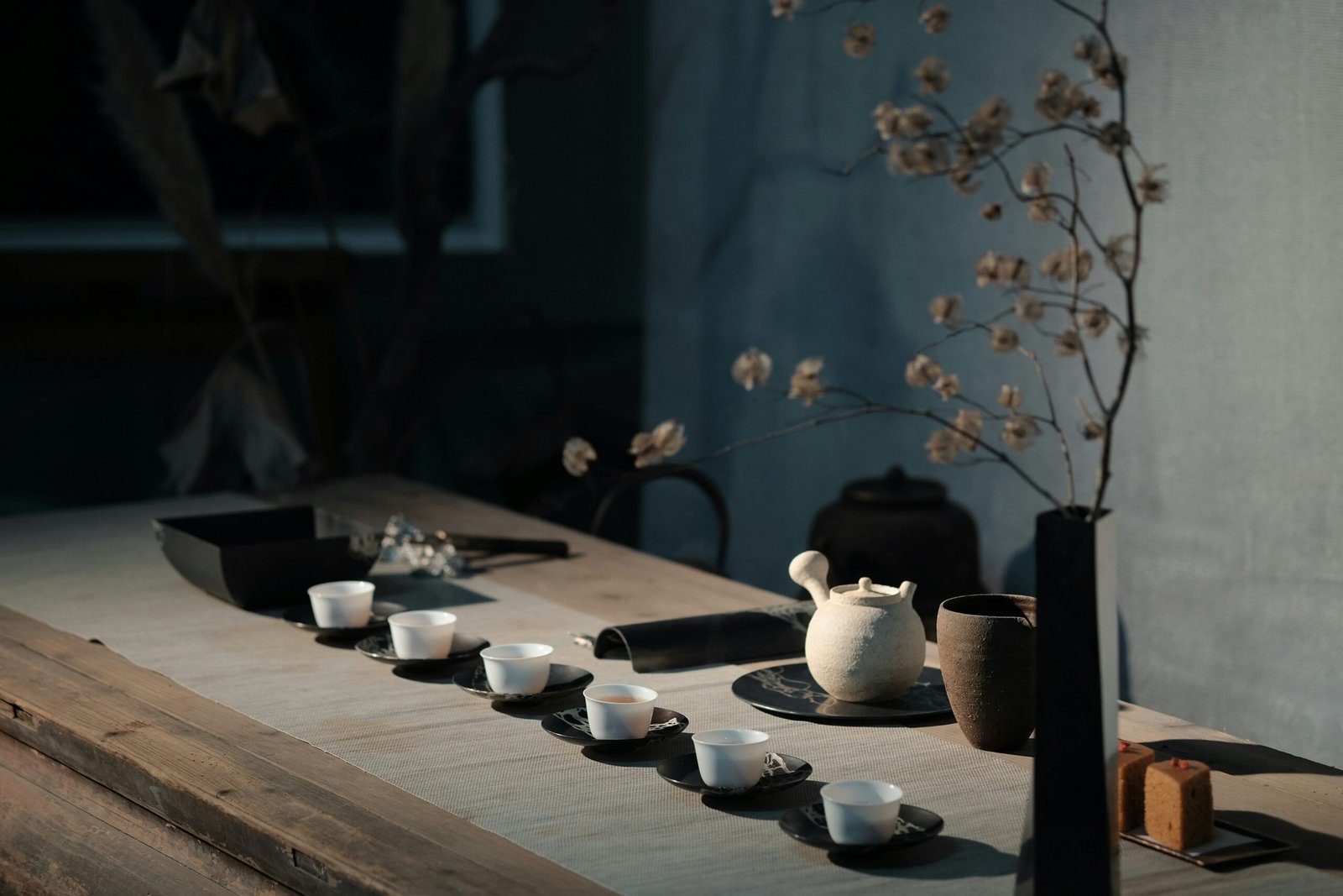 A Cup of Tea; What Daily Pu-erh Actually Does to Longevity